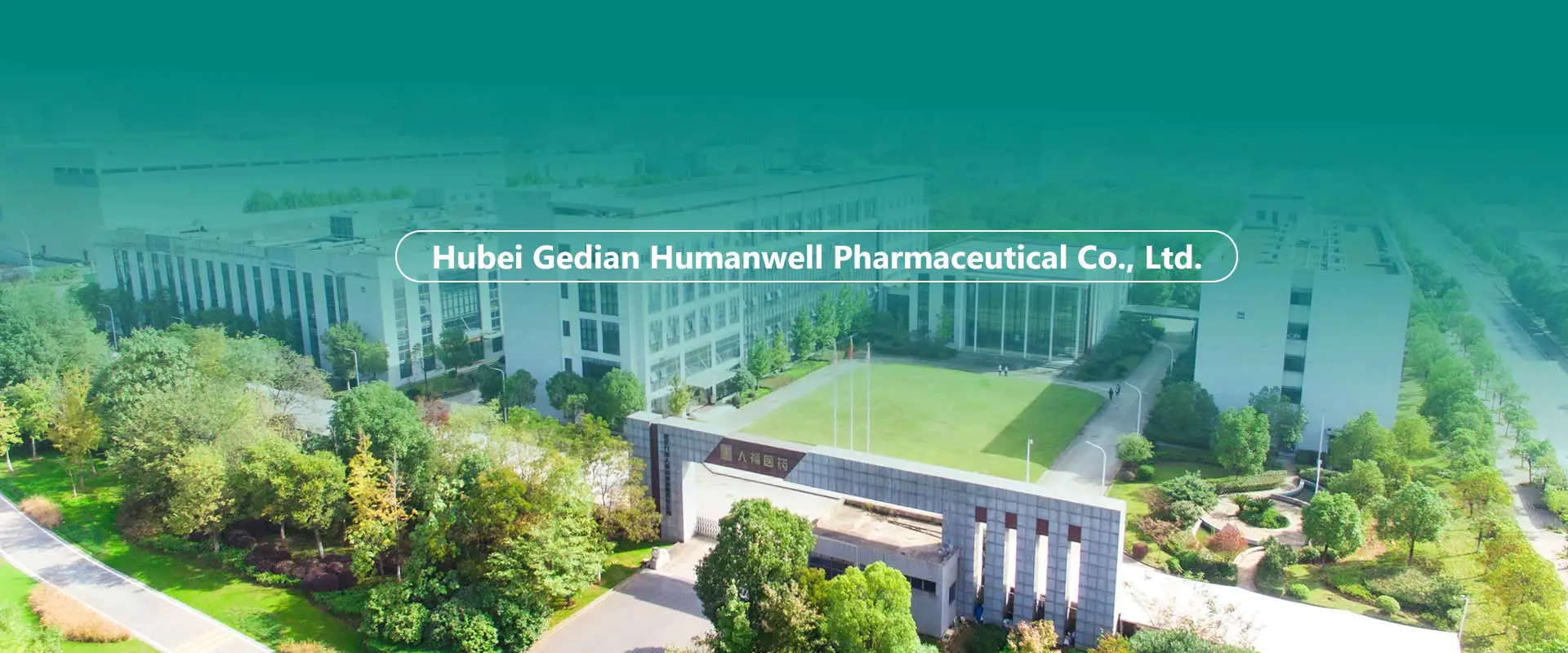 中国原薬、中間体、製剤工場