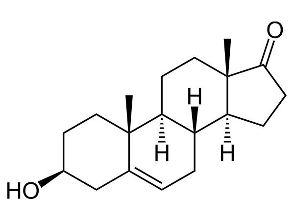 DHEA（プラステロン）